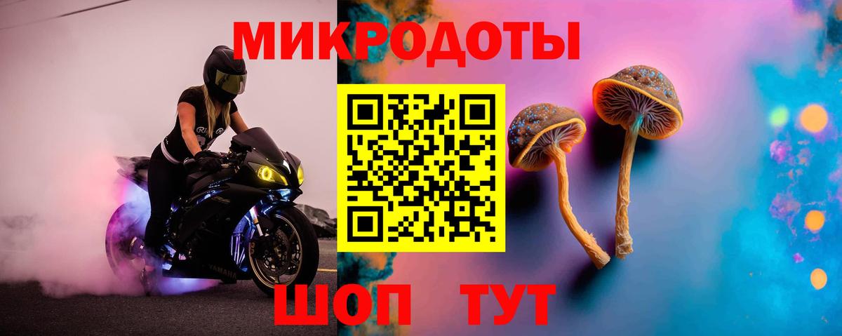 Псилоцибиновые грибы Psilocybine cubensis Усть-Илимск